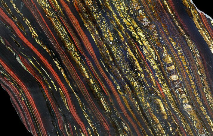 Polished Tiger Iron Stromatolite - ( Billion Years) #65360